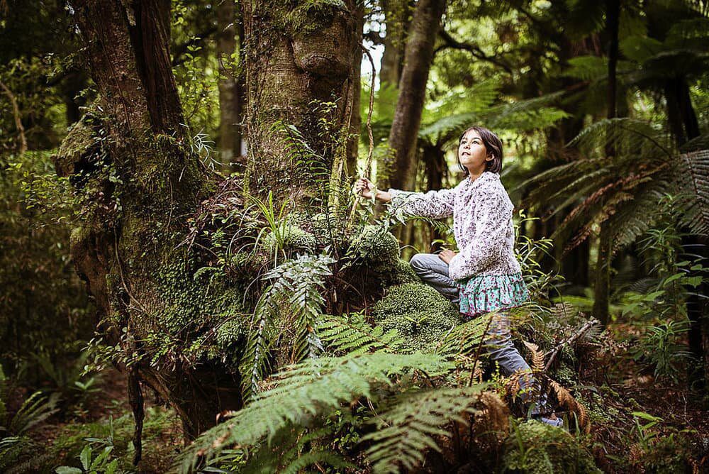 sustainable-festivals-new-zealand